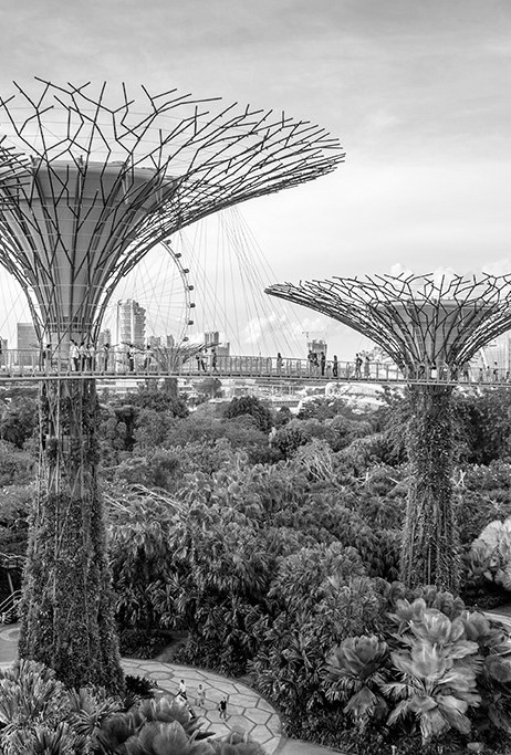 Gardens by the Bay in Singapur